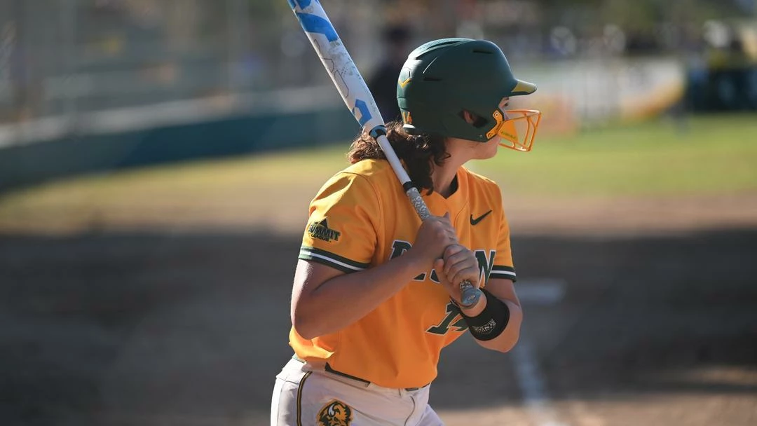 Slowpitch Softball Bats Sales Store -Slowpitch Softball Bats Sales Store crop